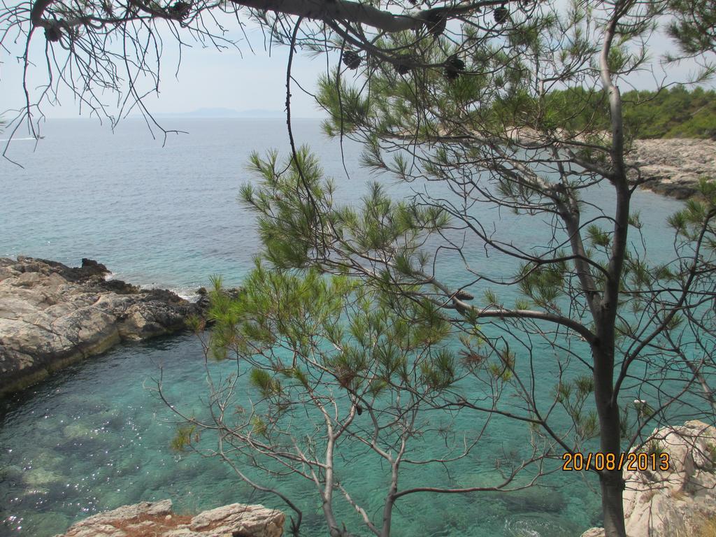 Apartment Falcon Stari Grad  Dış mekan fotoğraf