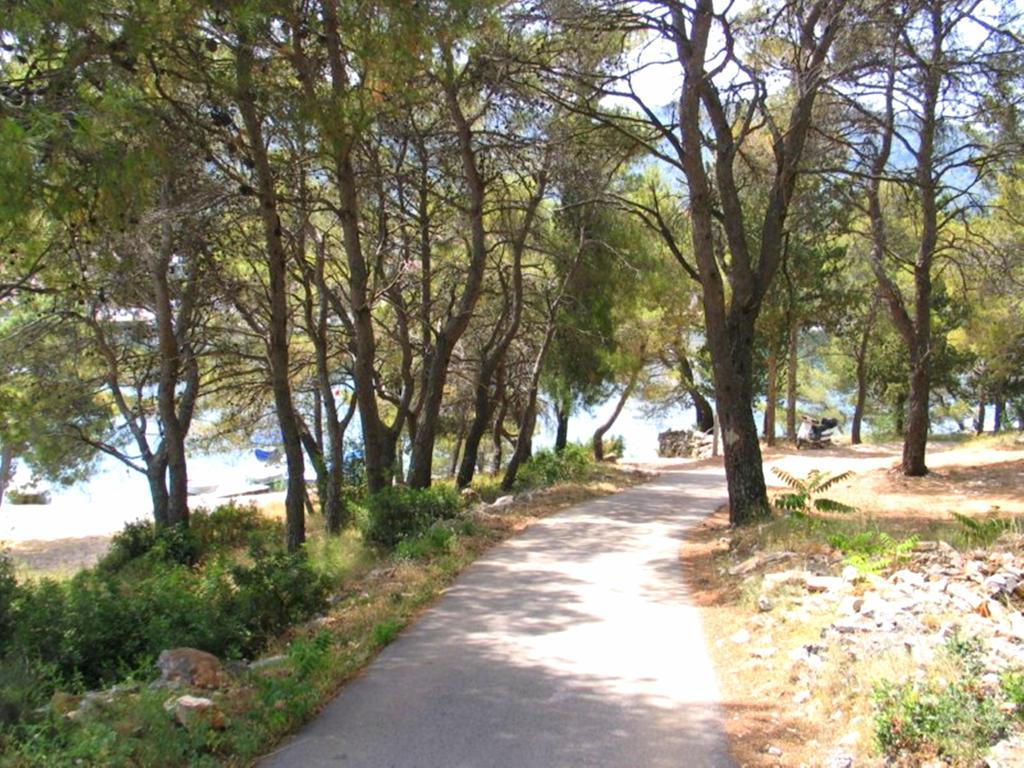 Apartment Falcon Stari Grad  Oda fotoğraf