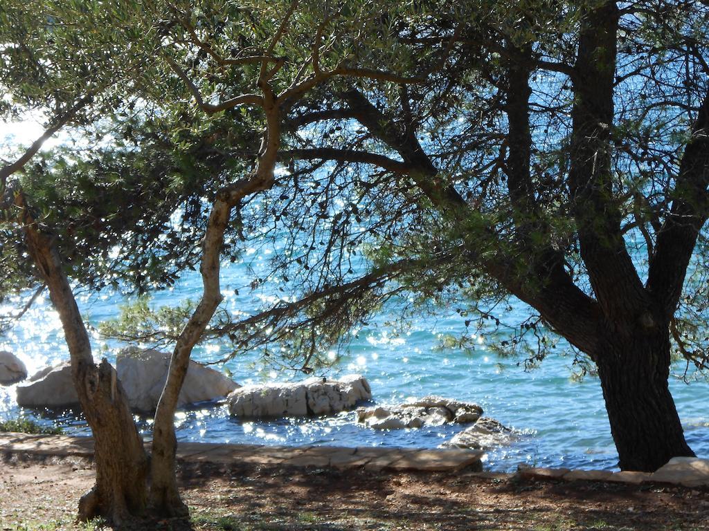 Apartment Falcon Stari Grad  Oda fotoğraf