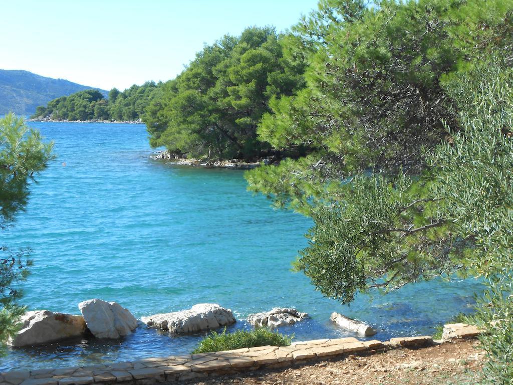 Apartment Falcon Stari Grad  Dış mekan fotoğraf