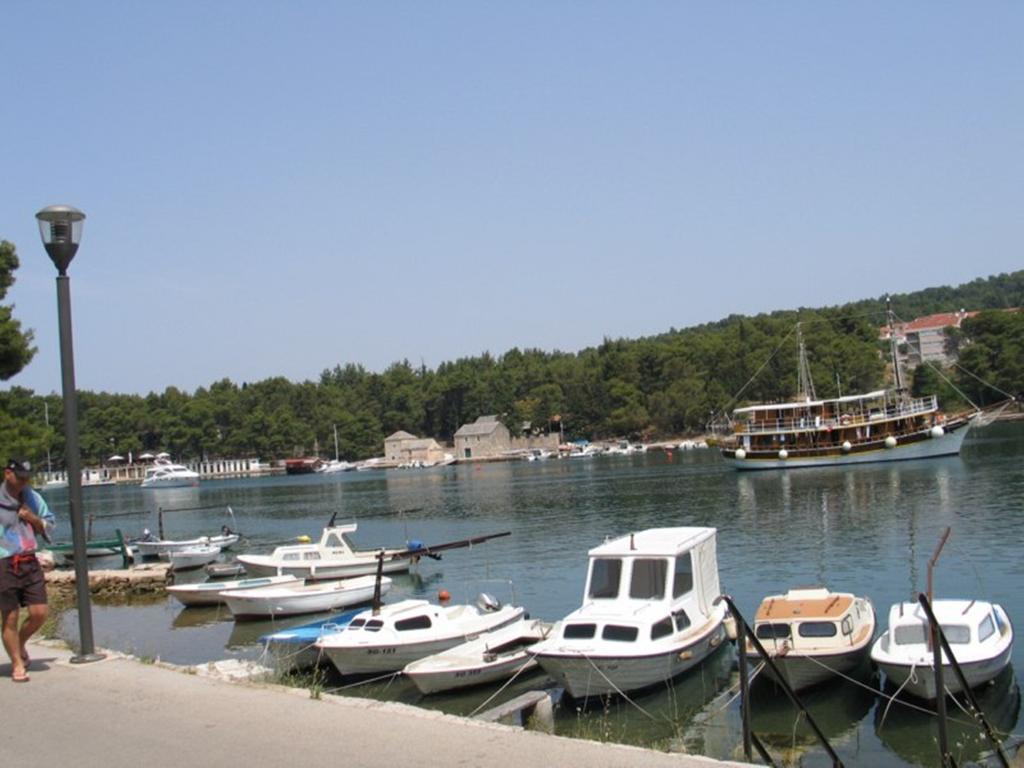 Apartment Falcon Stari Grad  Oda fotoğraf