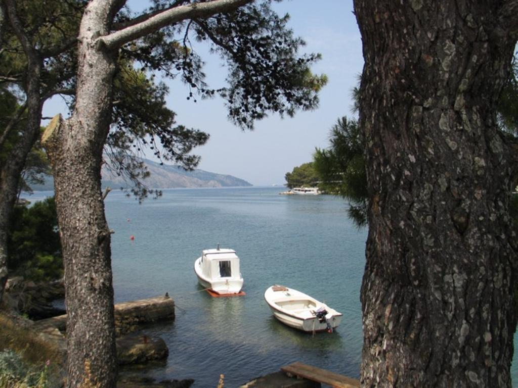Apartment Falcon Stari Grad  Oda fotoğraf